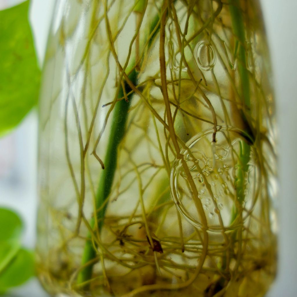 Návrh bez názvu (36)